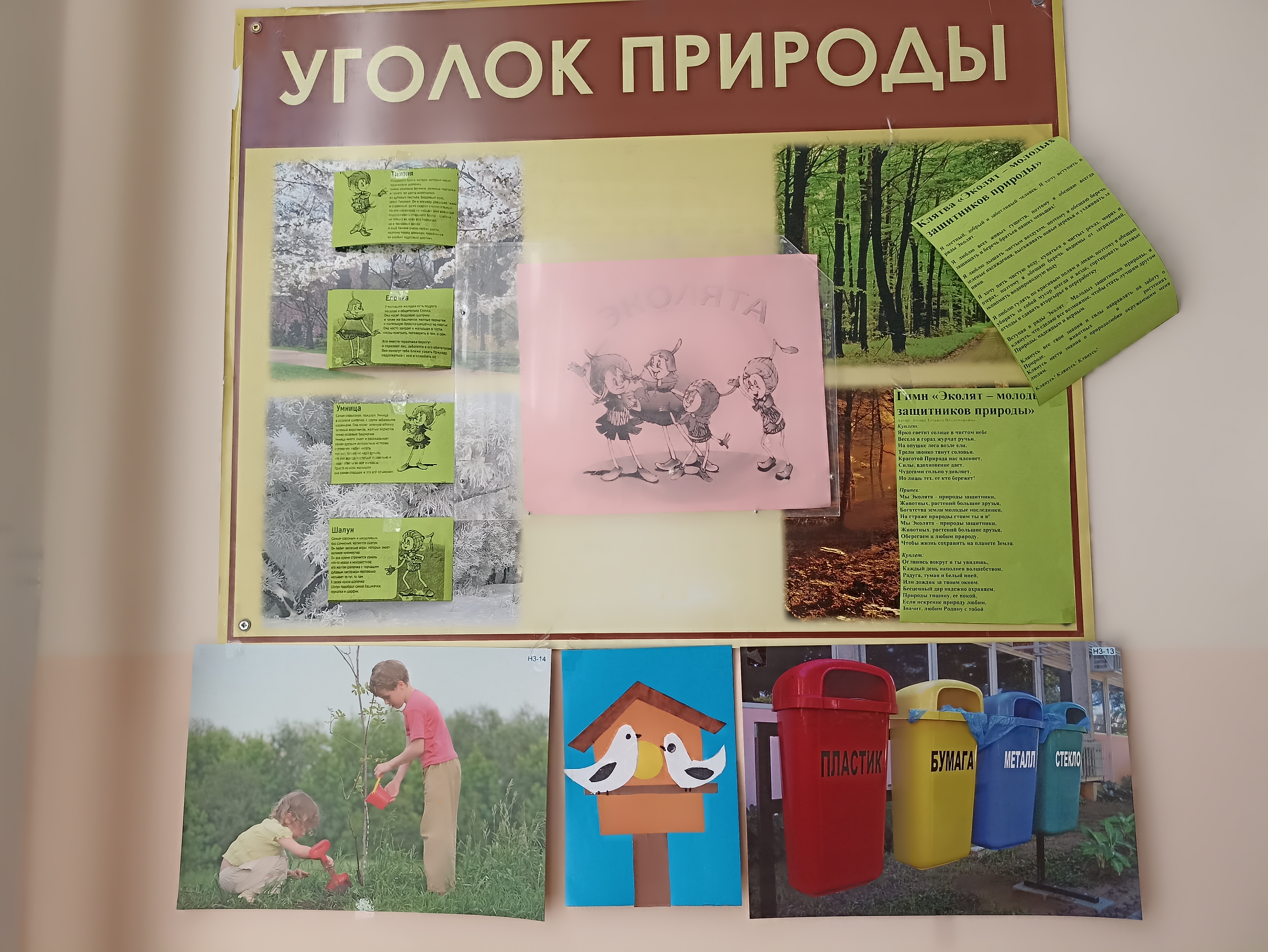 Экологическое воспитание в школе..